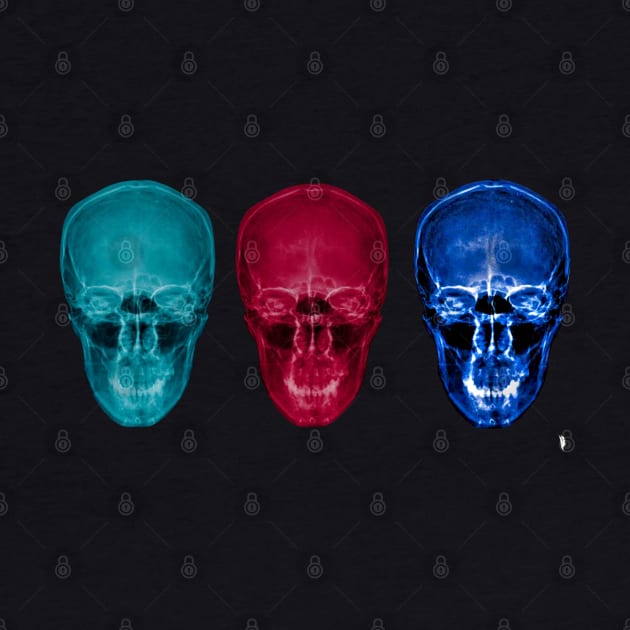 Three skulls , coloured X-ray skulls. by Bird